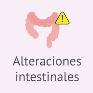 noticia_2_6