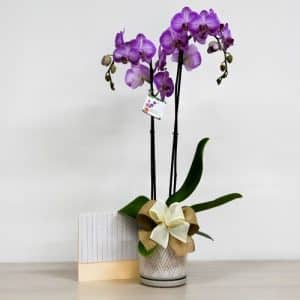 Bono Orquidea con Tarjeta