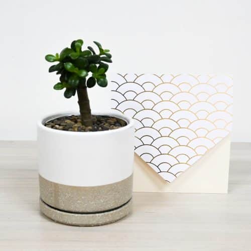 Bono Jade Individual con Tarjeta