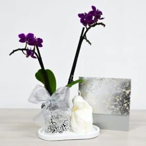 Bono Mini Orquídea con Vela Virgen María y Tarjeta