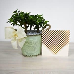 Bono Jade con Tarjeta